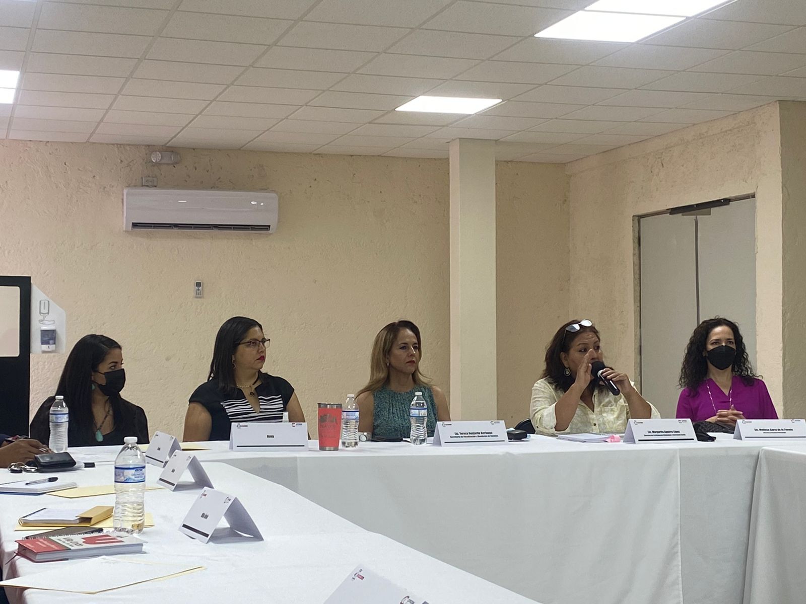 7. Gira de Trabajo de la CPCEM en la Región Norte